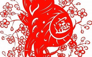 2019生肖(2019生肖猪金银币发行价格)