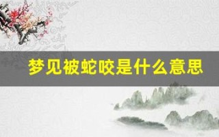 梦见被蛇咬是什么意思 周公解梦(周公解梦梦见蛇是什么意思)