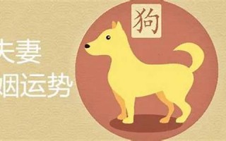 属狗男最佳婚配(属狗男最佳婚配表生肖) 属狗男最佳婚配(属狗男最佳婚配表生肖)