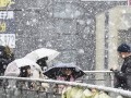 2013年1月22日(2013年1月22日出生几周岁)