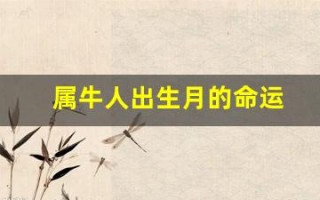 属牛人出生月的命运(属牛人出生月的命运如何)