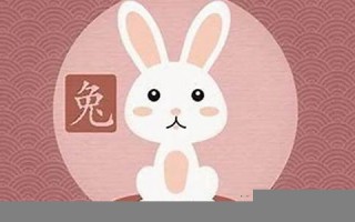 属兔的人今日运势-360星座网(属兔人今日运势查询非常运势网)