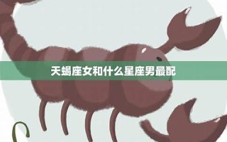 天蝎座男生最配星座(天蝎座男生最配星座是什么)