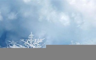 梦见下雪是什么征兆(早晨梦见下雪是什么征兆)