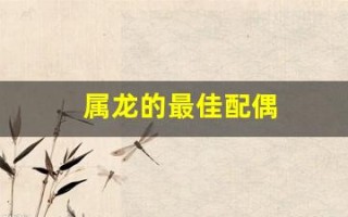 属龙的最佳配偶(属龙人的最佳配偶生肖) 属龙的最佳配偶(属龙人的最佳配偶生肖)