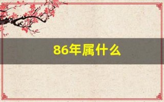 86年属什么(86年属什么的属性)