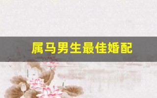 属马男生最佳婚配(婚配八字合婚表免费) 属马男生最佳婚配(婚配八字合婚表免费)