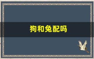 狗和兔配吗(狗和兔配么) 狗和兔配吗(狗和兔配么)