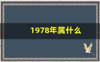 1978年属什么(1978年属什么五行)