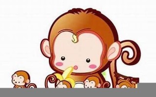 属猴人的婚姻与命运(属猴的人命运)