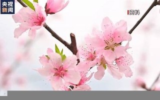 3月21日(5月15日是星期几)