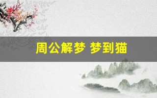 周公解梦 梦到猫(周公解梦梦到猫生小猫)
