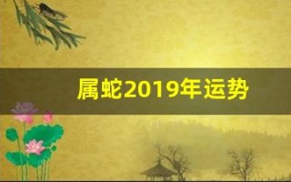属蛇2019年运势(属蛇在2019年运势如何)