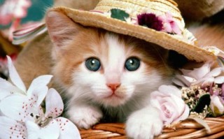 2022年7月1日(2022年7月1日是星期几)