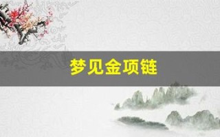 梦见金项链(梦见金项链丢了又找回来了)