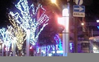 2013年1月12日(2013年1月12日阴历是多少)