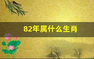 82年属什么生肖(83年属什么生肖)