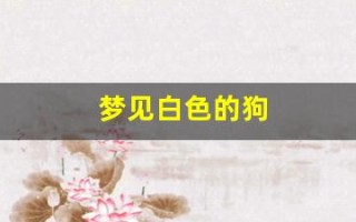 梦见白色的狗(梦见白色的狗什么意思) 梦见白色的狗(梦见白色的狗什么意思)