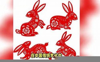 2011年属什么生肖(2011年属什么生肖今年多大)