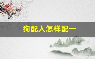 狗配人怎样配一(狗配人怎样配一只狗)