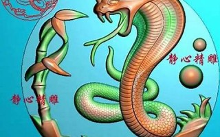 蛇和什么属相最配(蛇女和什么属相最配) 蛇和什么属相最配(蛇女和什么属相最配)