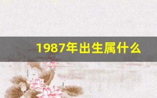 1987年出生属什么(1987年出生属什么的生肖)
